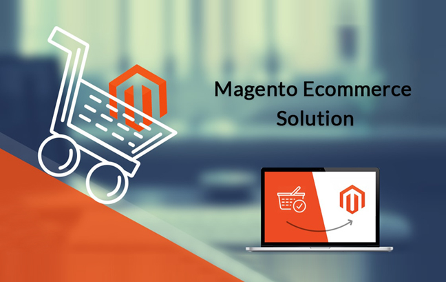 Magento eCommerce Website Development Services