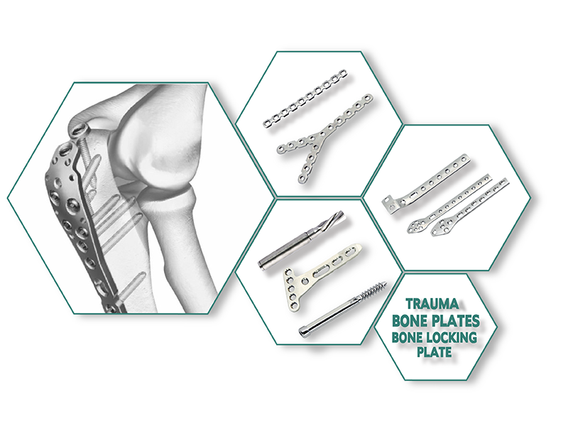 Orthopaedic Implants Manufacturers, Trauma Implants Manufacturers,Spine Implants Manufacturers