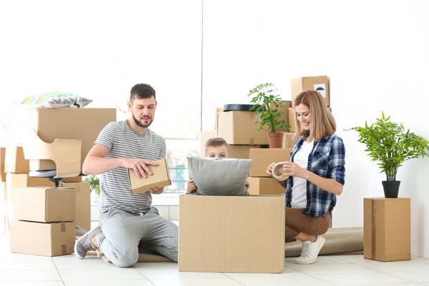 Movers and Packers in Noida