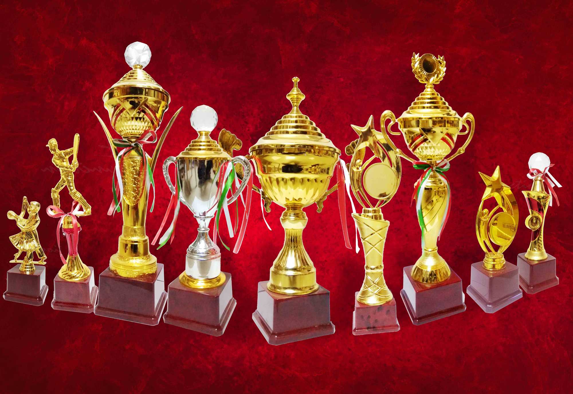 Trophy manufacturers in Delhi