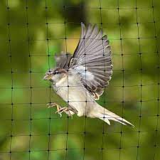 Anti Bird Net 