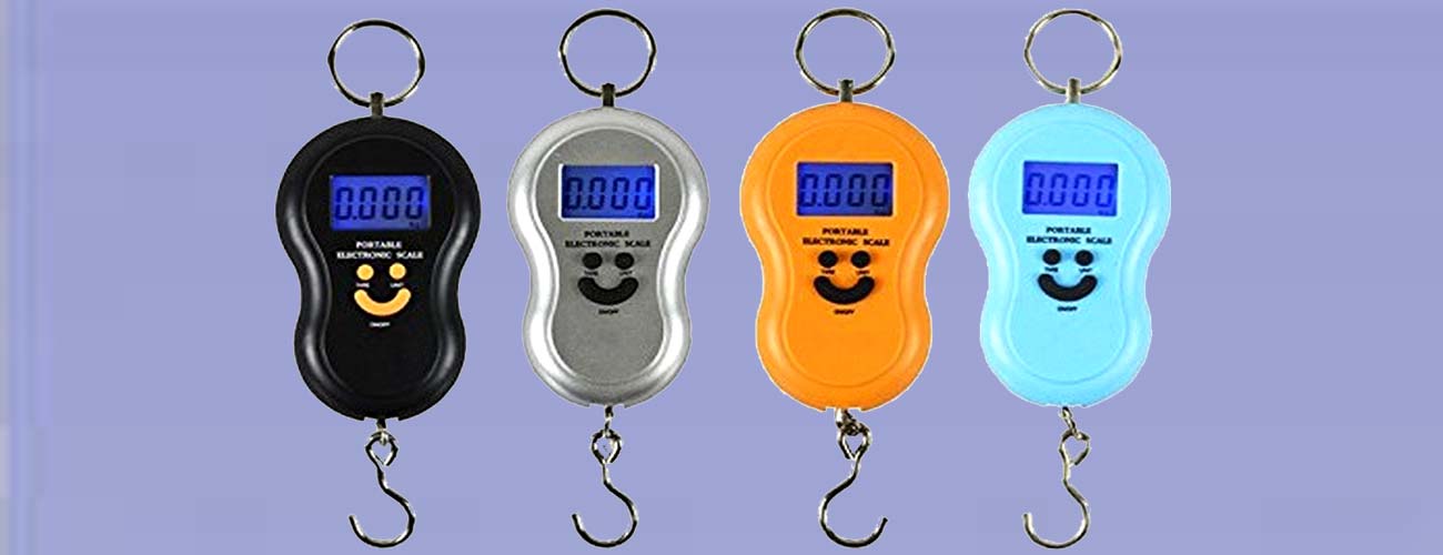 Hanging Scale Dealers in Gurgaon