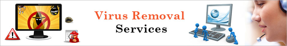 Virus Removal Services in Delhi