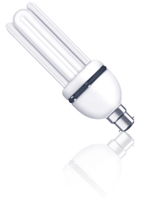 Compact Fluorescent Lamps - T5 in Noida