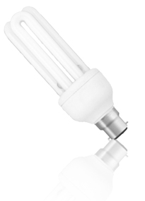 Compact Fluorescent Lamps - T4 in Noida