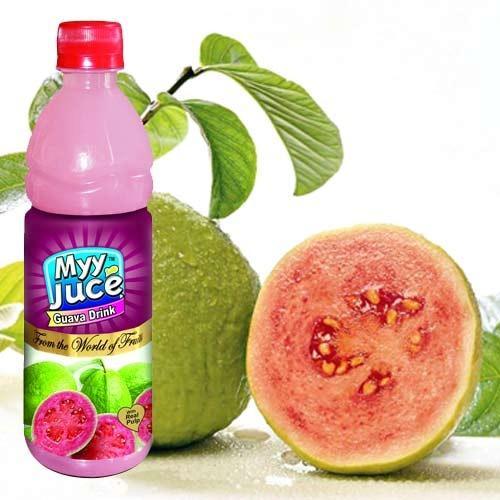 Guava Juice Manufacturer in Haryana