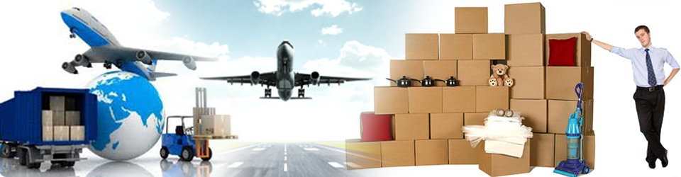 International Shifting Services in Delhi