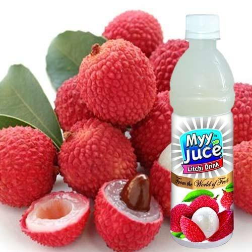 Litchi Juice Manufacturer in Haryana