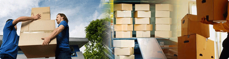 Loading and Unloading Services in Delhi