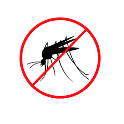 Mosquitoes Control Services in Delhi