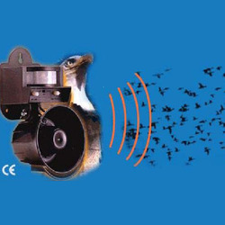 Ultrasonic Bird Repellent Services in Delhi