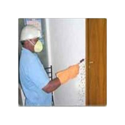 Wood Borer Control Services in Delhi