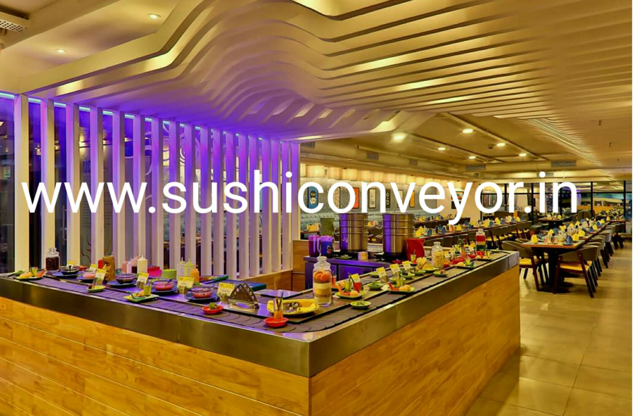 Sushi Conveyors Manufacturers in Delhi